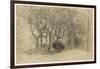 Study of Trees, Clovelly Park, 1834-Samuel Palmer-Framed Giclee Print