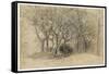 Study of Trees, Clovelly Park, 1834-Samuel Palmer-Framed Stretched Canvas