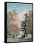 Study of Trees in a Park-John Constable-Framed Stretched Canvas