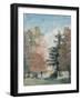 Study of Trees in a Park-John Constable-Framed Giclee Print