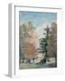 Study of Trees in a Park-John Constable-Framed Giclee Print