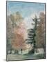 Study of Trees in a Park-John Constable-Mounted Giclee Print