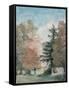 Study of Trees in a Park-John Constable-Framed Stretched Canvas