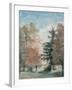 Study of Trees in a Park-John Constable-Framed Giclee Print