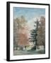 Study of Trees in a Park-John Constable-Framed Giclee Print