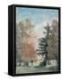 Study of Trees in a Park-John Constable-Framed Stretched Canvas