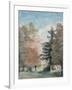 Study of Trees in a Park-John Constable-Framed Giclee Print