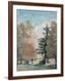 Study of Trees in a Park-John Constable-Framed Giclee Print