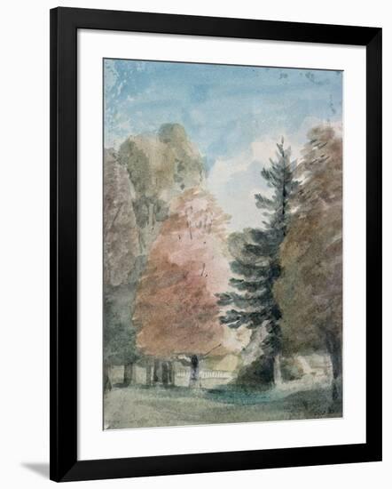 Study of Trees in a Park-John Constable-Framed Giclee Print