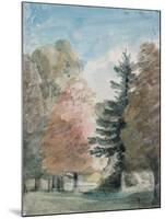 Study of Trees in a Park-John Constable-Mounted Giclee Print