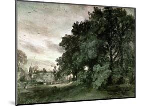 Study of Trees (Oil on Paper)-John Constable-Mounted Giclee Print