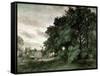 Study of Trees (Oil on Paper)-John Constable-Framed Stretched Canvas