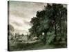 Study of Trees (Oil on Paper)-John Constable-Stretched Canvas