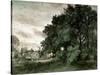 Study of Trees (Oil on Paper)-John Constable-Stretched Canvas