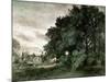 Study of Trees (Oil on Paper)-John Constable-Mounted Giclee Print