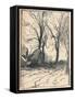 Study of Trees, Sompting, Sussex, C19th Century-Frank Mura-Framed Stretched Canvas