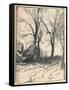 Study of Trees, Sompting, Sussex, C19th Century-Frank Mura-Framed Stretched Canvas