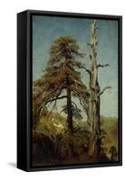 Study of Trees-August Cappelen-Framed Stretched Canvas