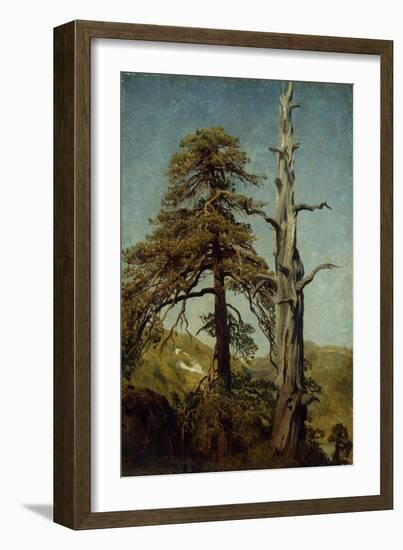 Study of Trees-August Cappelen-Framed Giclee Print