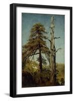 Study of Trees-August Cappelen-Framed Giclee Print