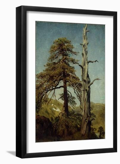 Study of Trees-August Cappelen-Framed Giclee Print