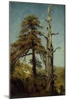 Study of Trees-August Cappelen-Mounted Giclee Print