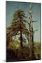 Study of Trees-August Cappelen-Mounted Giclee Print