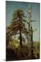 Study of Trees-August Cappelen-Mounted Giclee Print