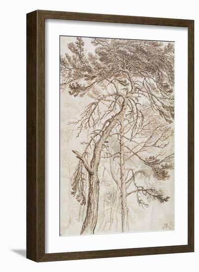 Study of Trees-James Ward-Framed Giclee Print