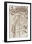 Study of Trees-James Ward-Framed Giclee Print