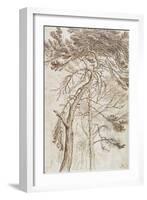 Study of Trees-James Ward-Framed Giclee Print