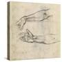 Study of Two Arms for 'The Drunkenness of Noah' in the Sistine Chapel-Michelangelo Buonarroti-Stretched Canvas