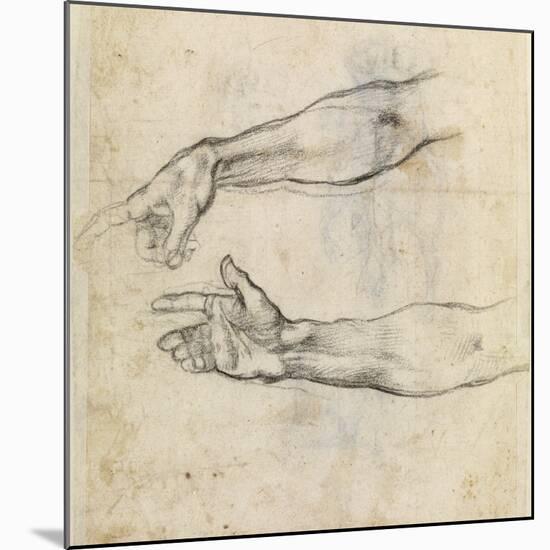 Study of Two Arms for 'The Drunkenness of Noah' in the Sistine Chapel-Michelangelo Buonarroti-Mounted Giclee Print