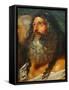 Study of Two Heads-Peter Paul Rubens-Framed Stretched Canvas