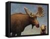 Study of Two Mammals-James W. Johnson-Framed Stretched Canvas