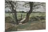 Study of Two Trees in a Field-Edwin Austin Abbey-Mounted Giclee Print