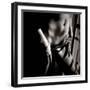 Study of Undressing-Edoardo Pasero-Framed Photographic Print