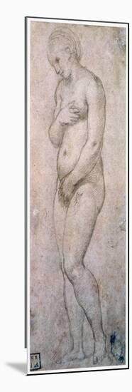 Study of Venus, C1500-1520-Raphael-Mounted Giclee Print