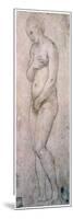 Study of Venus, C1500-1520-Raphael-Mounted Giclee Print