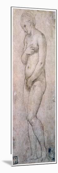 Study of Venus, C1500-1520-Raphael-Mounted Giclee Print