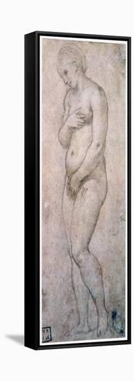 Study of Venus, C1500-1520-Raphael-Framed Stretched Canvas