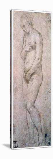 Study of Venus, C1500-1520-Raphael-Stretched Canvas