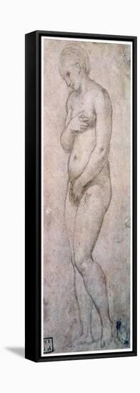 Study of Venus, C1500-1520-Raphael-Framed Stretched Canvas