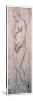Study of Venus, C1500-1520-Raphael-Stretched Canvas