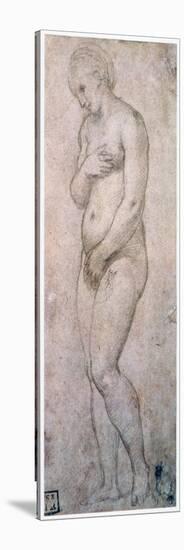 Study of Venus, C1500-1520-Raphael-Stretched Canvas