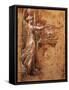 Study of Virgin for Church of Detached-Francesco Parmigianino-Framed Stretched Canvas