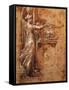 Study of Virgin for Church of Detached-Francesco Parmigianino-Framed Stretched Canvas