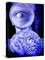 Studying the Brain, Conceptual Image-Victor De Schwanberg-Stretched Canvas