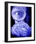 Studying the Brain, Conceptual Image-Victor De Schwanberg-Framed Photographic Print