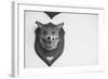 Stuffed Fox Head-Clive Nolan-Framed Photographic Print